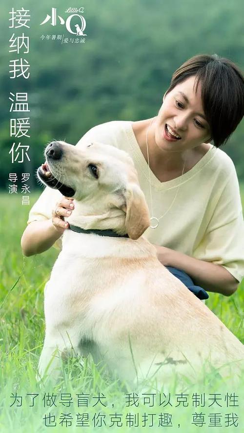 做个假的注册税务师资格证多少钱